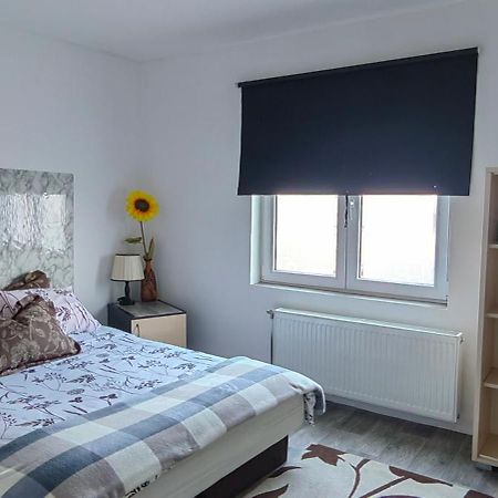 Divlji Raj Apartment Belgrade Luaran gambar
