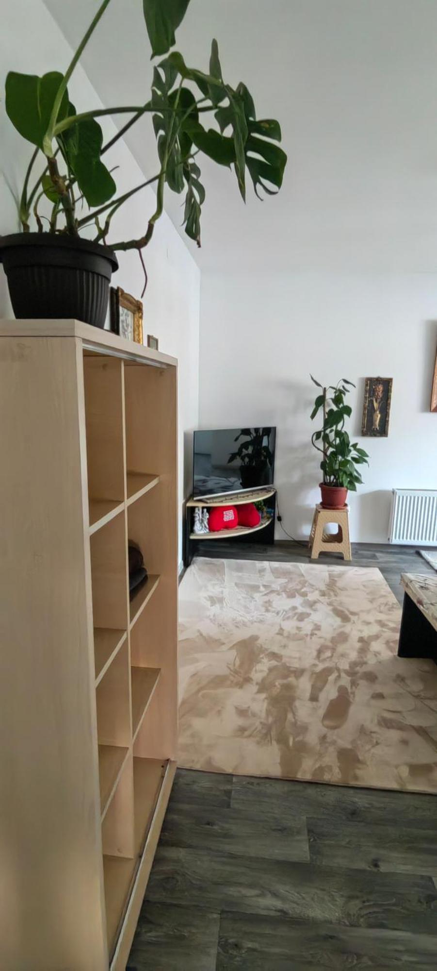 Divlji Raj Apartment Belgrade Luaran gambar