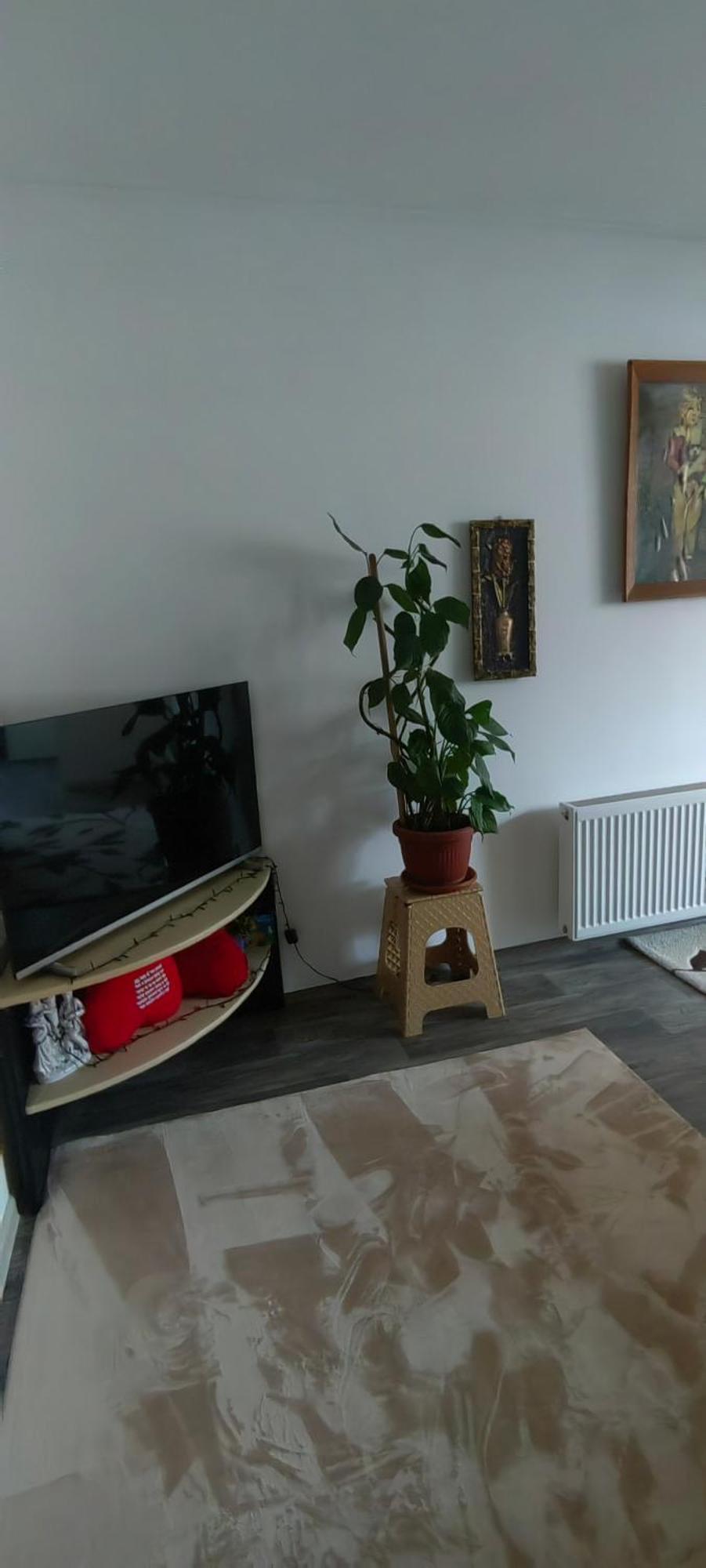 Divlji Raj Apartment Belgrade Luaran gambar